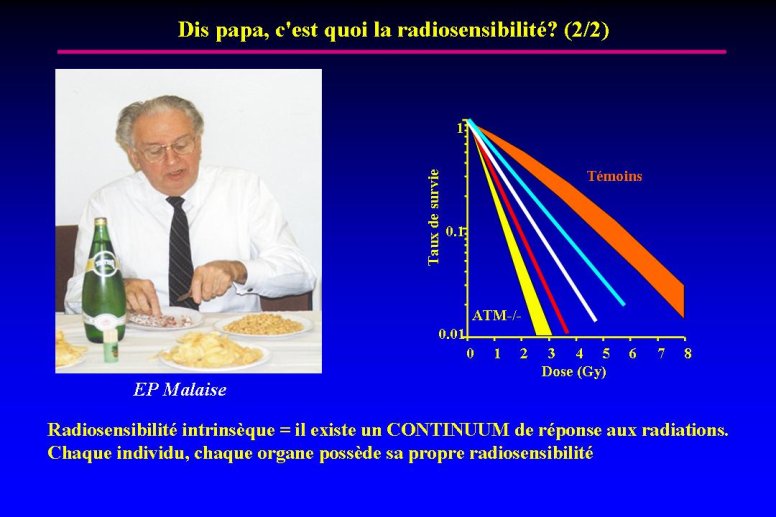 diapositive3