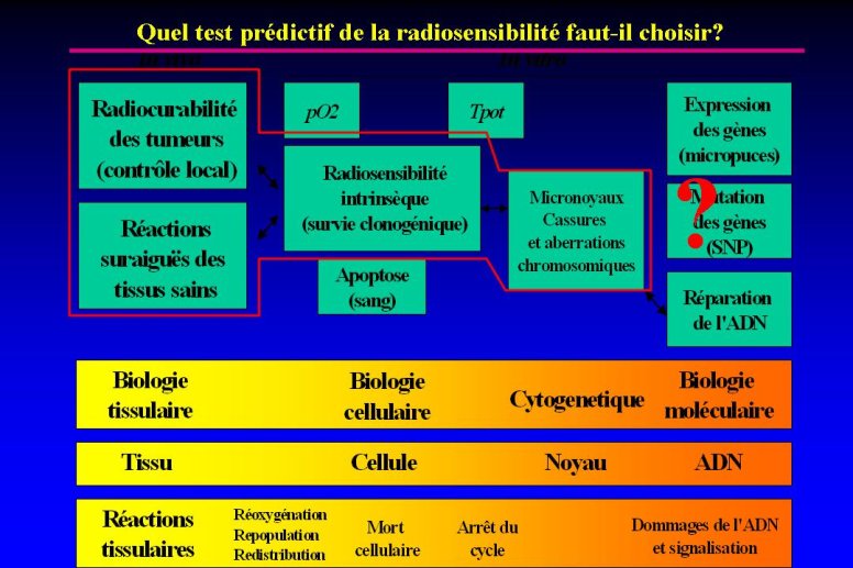 diapositive4