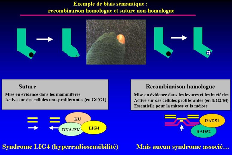 diapositive9