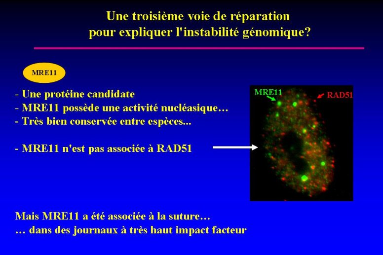 diapositive18