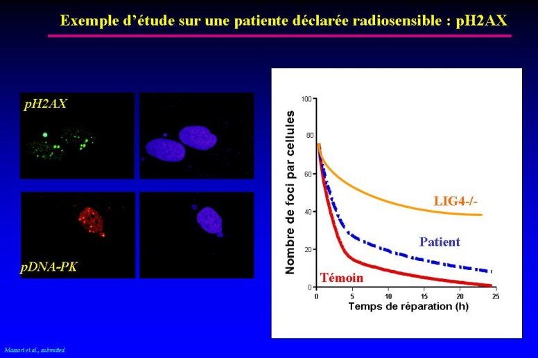 diapositive22