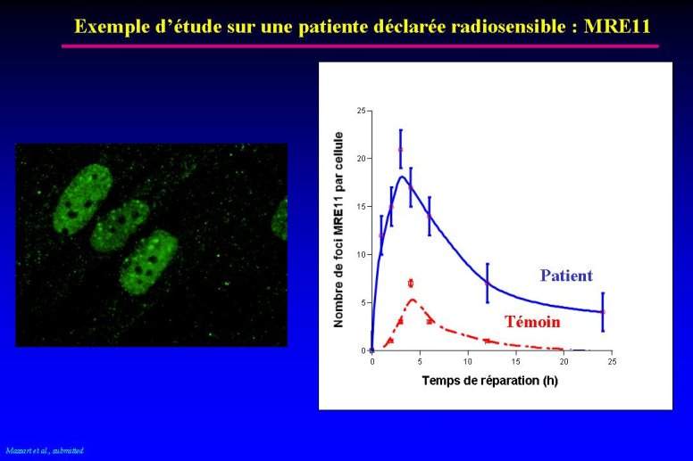 diapositive23