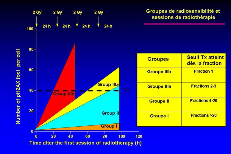 diapositive31