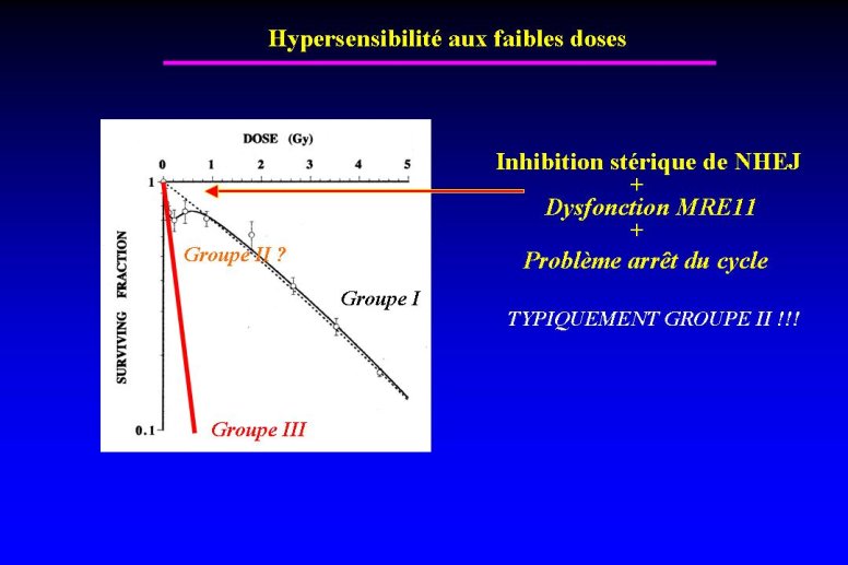 diapositive33