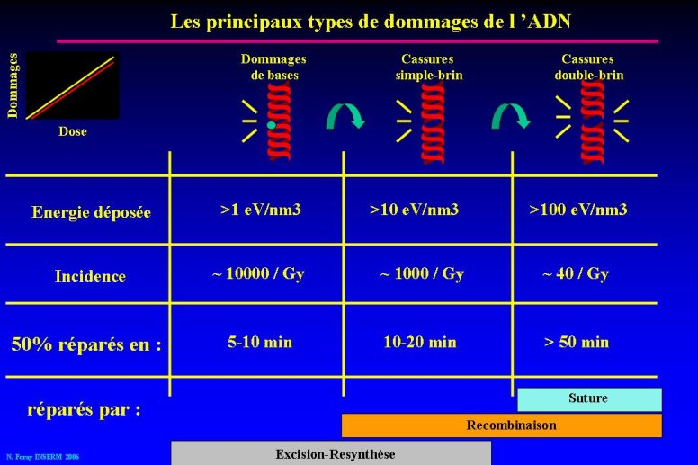 diapositive37