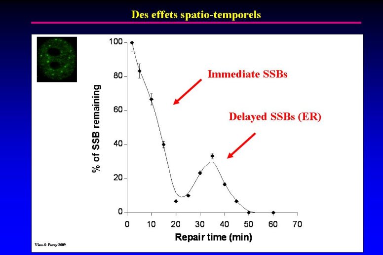 diapositive38