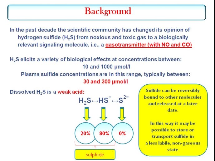 slide_0083_full