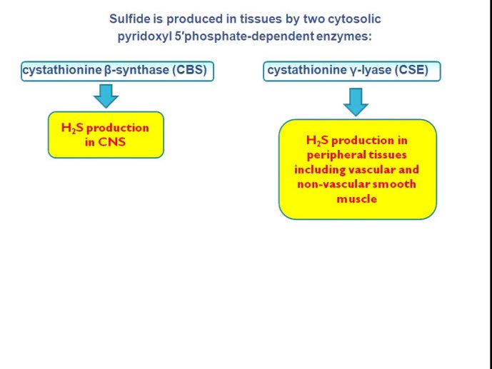 slide_0084_full