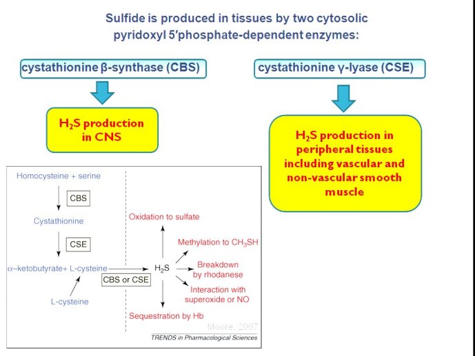 slide_0085_full