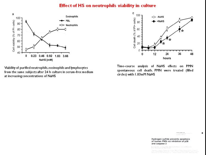 slide_0095_full