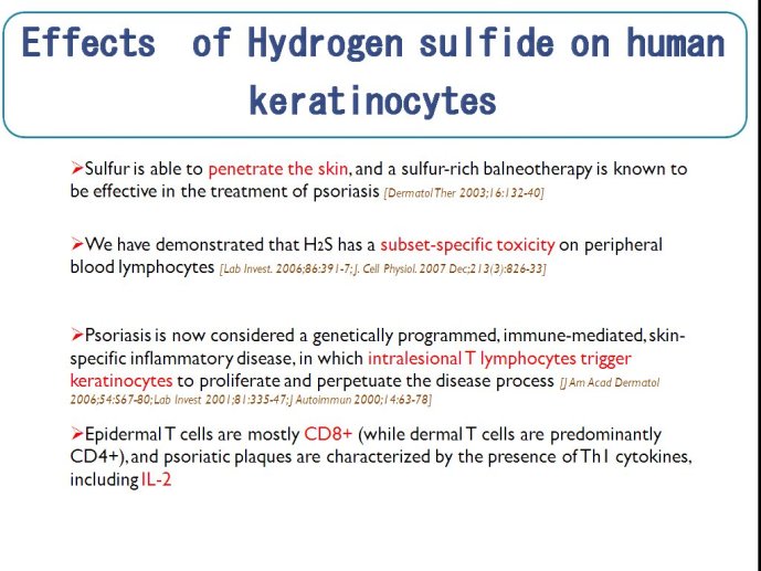 slide_0101_full