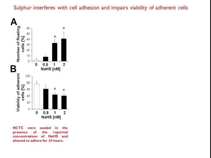 slide_0104_full