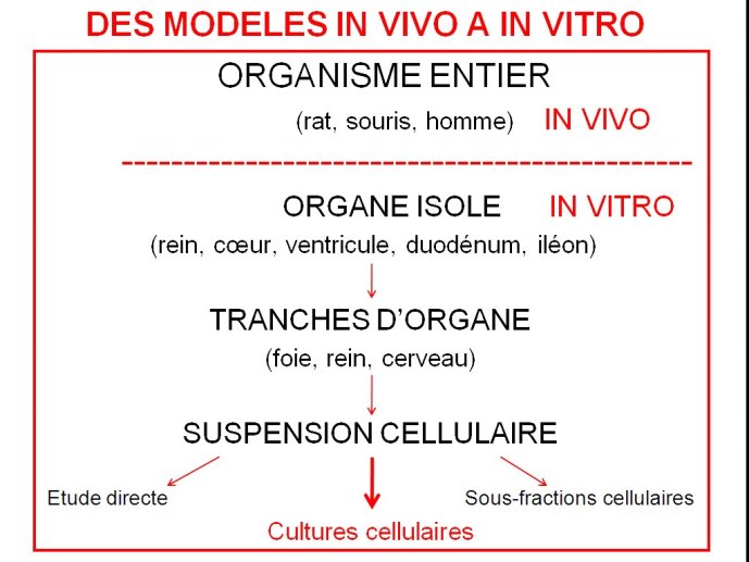 slide_0002_full