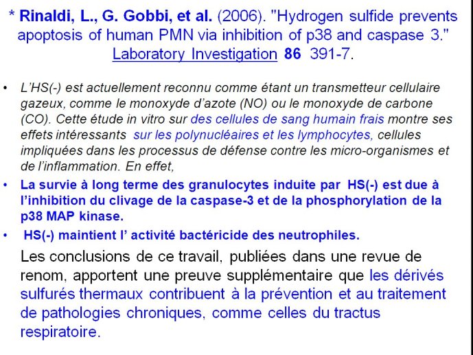 slide_0019_full