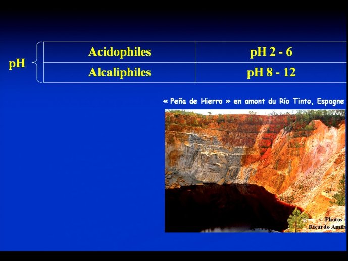 slide_0027_full