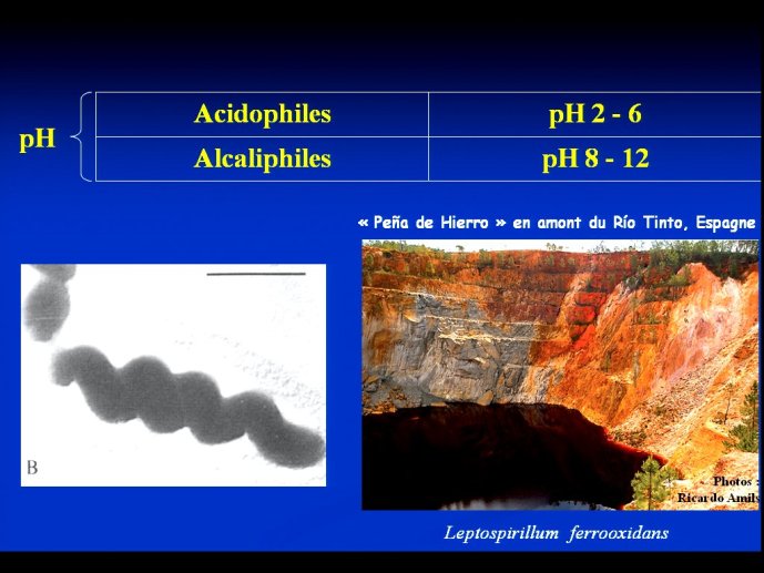 slide_0028_full
