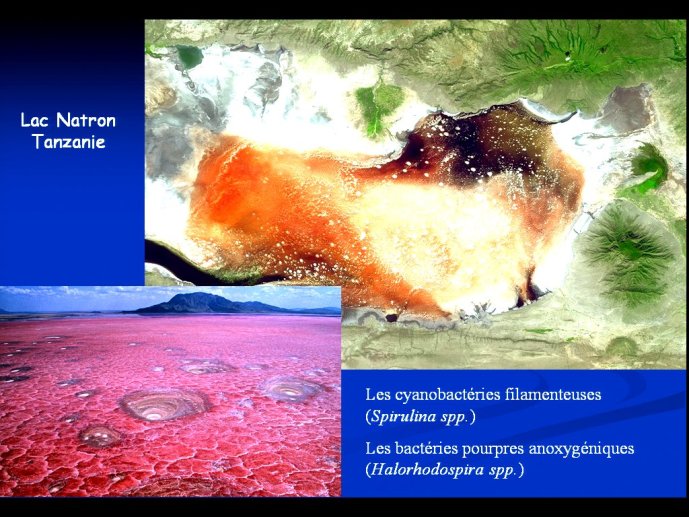 slide_0030_full