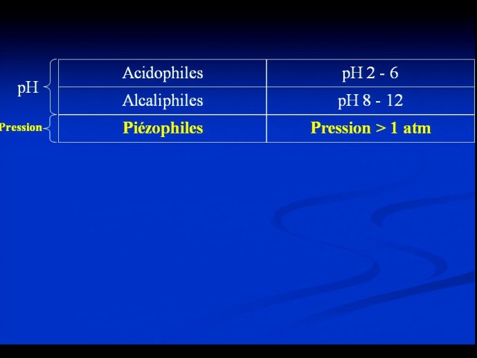 slide_0031_full