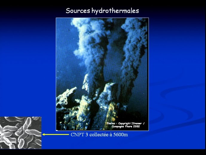 slide_0033_full
