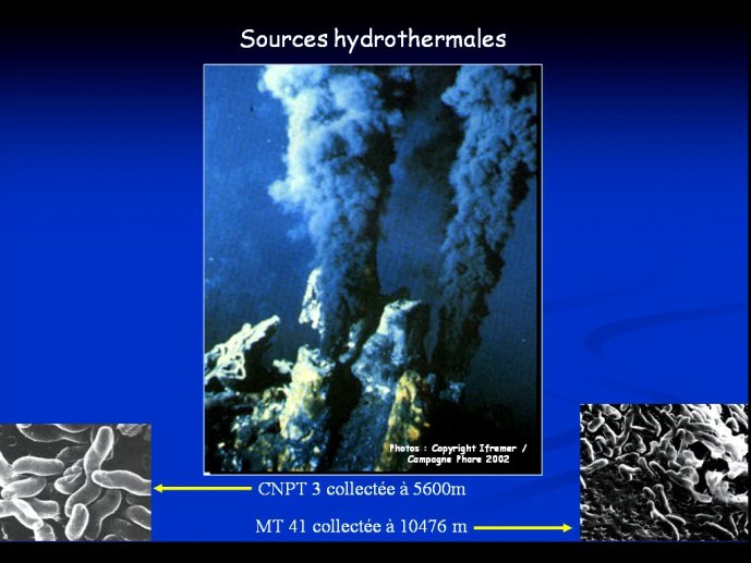 slide_0034_full