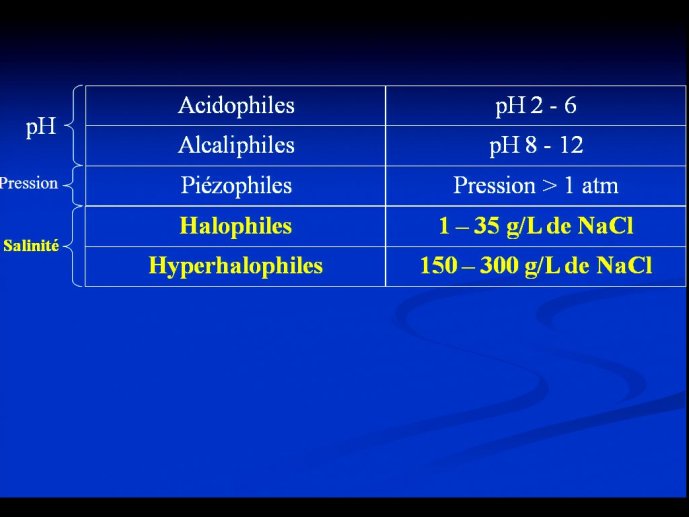 slide_0036_full