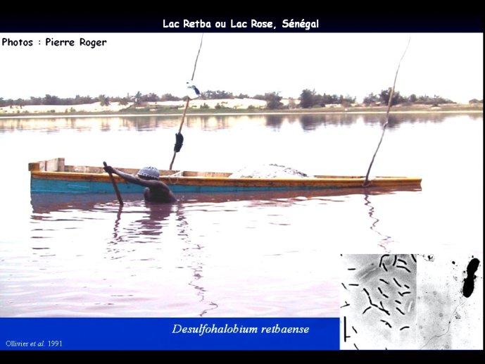 slide_0038_full