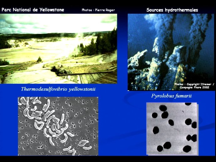 slide_0043_full