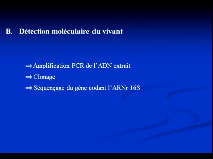 slide_0049_full
