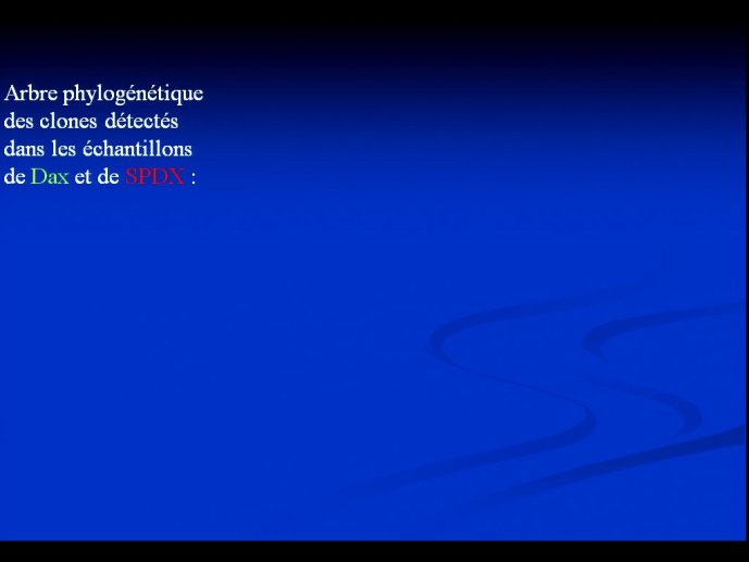 slide_0050_full