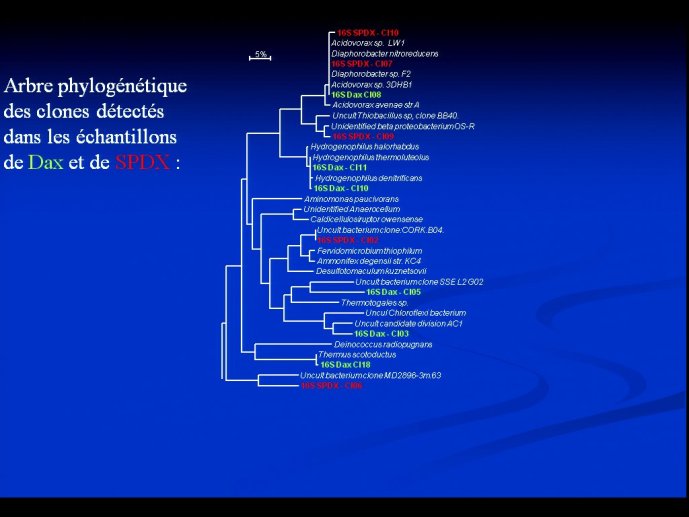 slide_0051_full