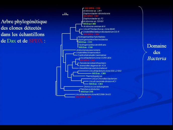 slide_0052_full