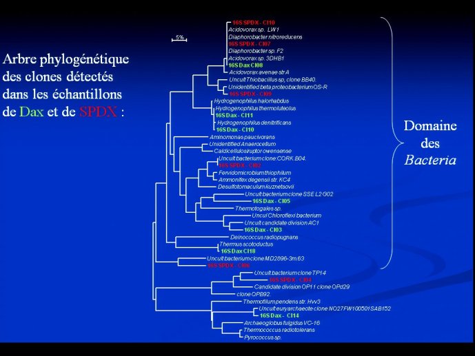 slide_0053_full