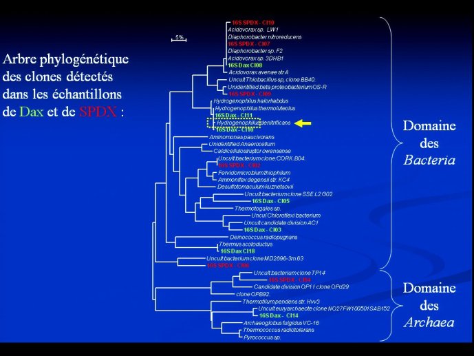 slide_0055_full
