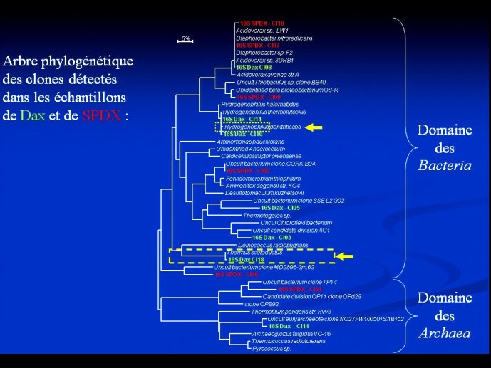 slide_0056_full