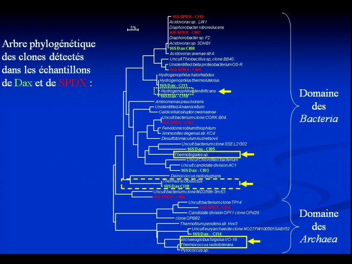 slide_0057_full