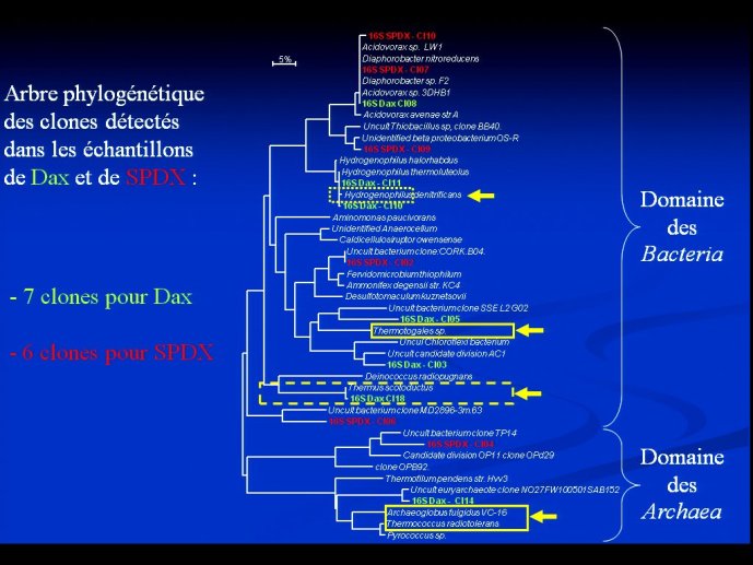 slide_0058_full