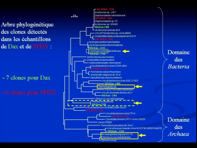 slide_0059_full