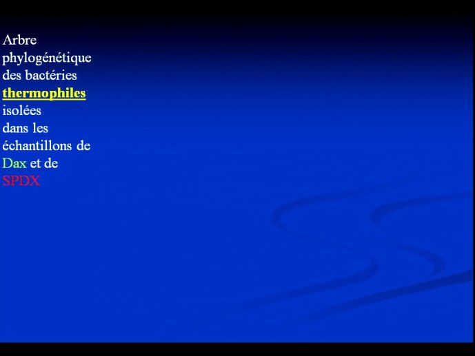 slide_0061_full