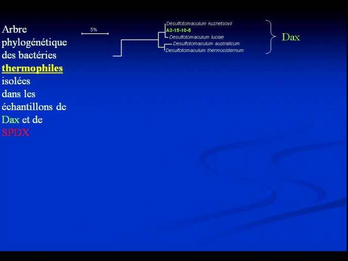 slide_0062_full