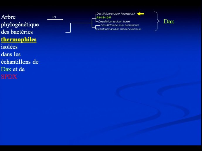 slide_0063_full