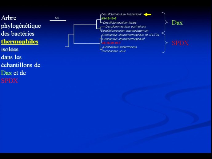 slide_0064_full