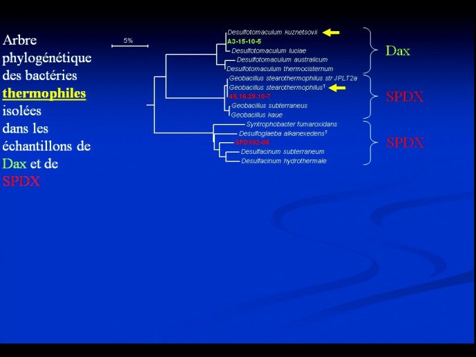 slide_0065_full