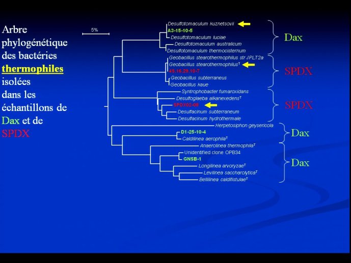 slide_0066_full