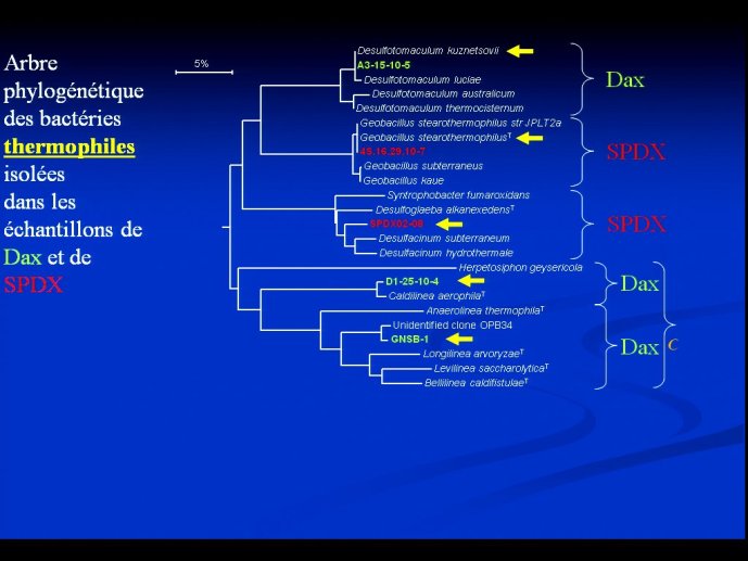 slide_0067_full
