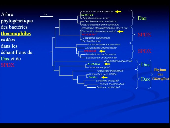 slide_0068_full