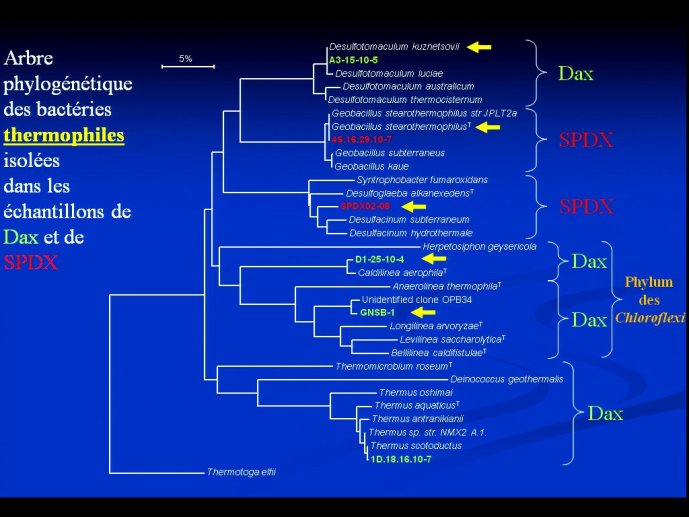slide_0069_full