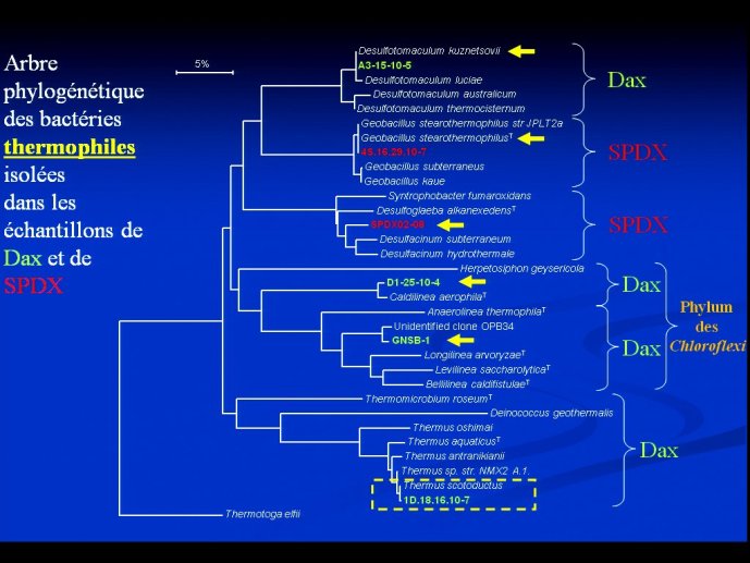 slide_0070_full