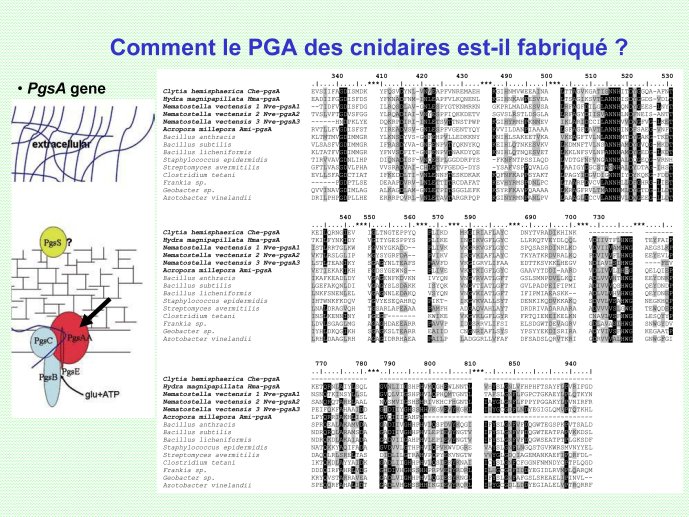 S%C3%A8vres%202010%20NR_Page_37