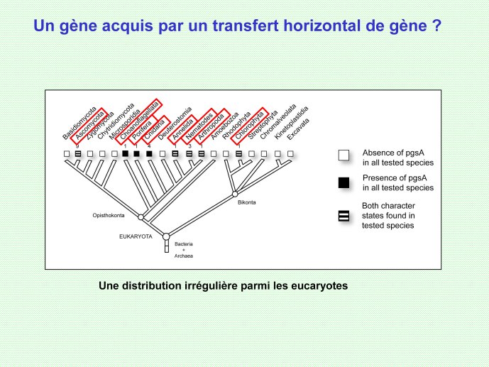 S%C3%A8vres%202010%20NR_Page_39