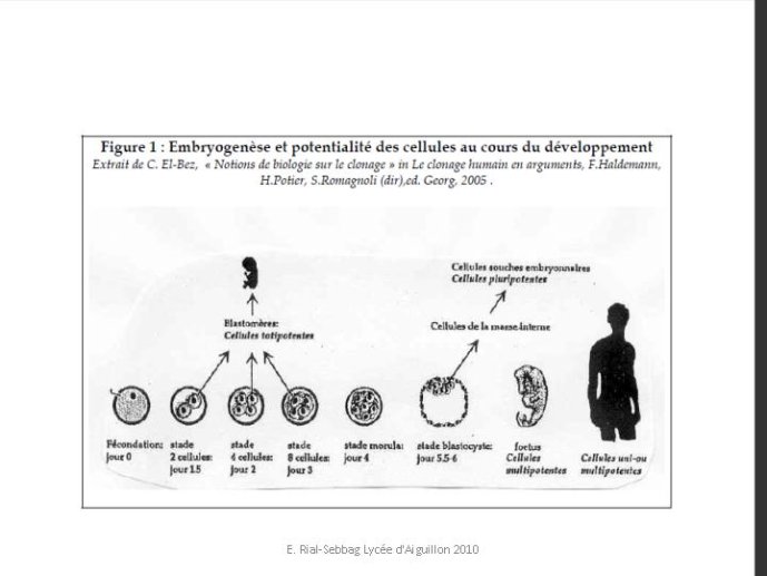 Diapositive06